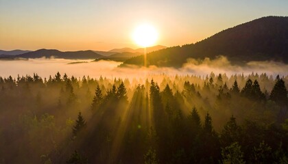 Aerial view of sunlight streaming through foggy forest during dawn