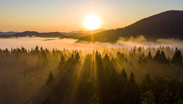 Aerial view of sunlight streaming through foggy forest during dawn - Powered by Adobe