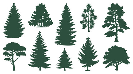 Diverse forest tree silhouettes