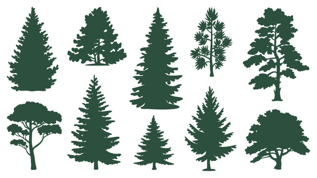 Diverse forest tree silhouettes