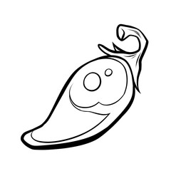 Chili line drawing. It is a vector illustration.