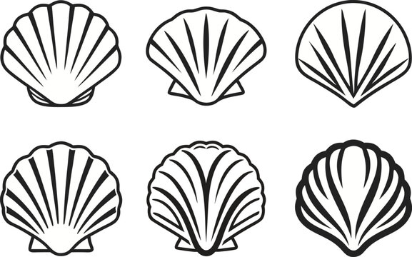 Cockles Shell Outline Illustration Set. Seashell Collection in Line Art Design. Marine Cockle Shell Outline Artwork. Ocean Shell Set Illustration Concept. Sea Cockles in Minimal Line Design. Shellfish