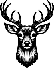 White-Tailed Deer Head Engraving Vector – Vintage Wildlife Illustration