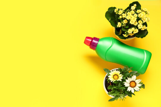 Pots with plants and bottles of fertilizer on yellow background