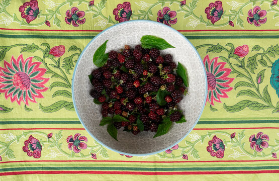 Forest and country mood