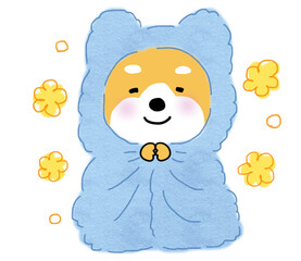 暖かい水色の毛布に包まり、ぬくぬくと幸せなしばいぬ