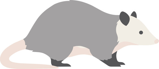 Simple Flat Style Opossum Walking Profile Side View Illustration