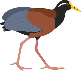 Simple Flat Style Watercock Bird Walking Wildlife Animal Illustration