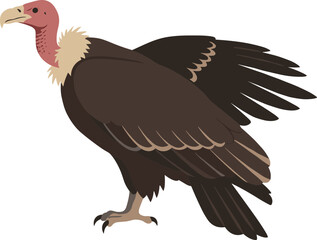 Detailed Flat Illustration Turkey Vulture Bird Profile Standing with Open Wings