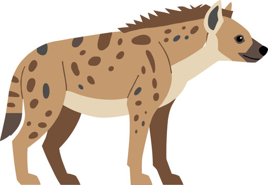 Simple Flat Spotted Hyena Standing Wildlife Animal Graphic Illustration