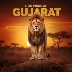 The King of Gir: Lion Standing on Rock during Golden Sunset