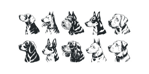 Collection of Dog Breed Head Portraits