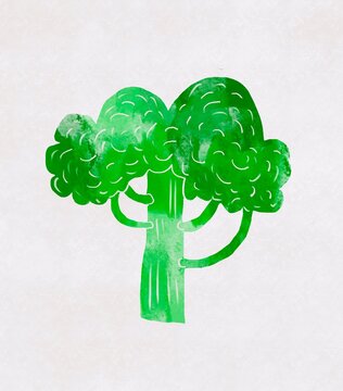 Green broccoli