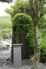 Fototapeta premium 美しい日本庭園の風景