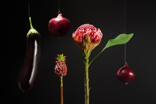 Colorful Vegetables and Flowers Against a Dark Background. 