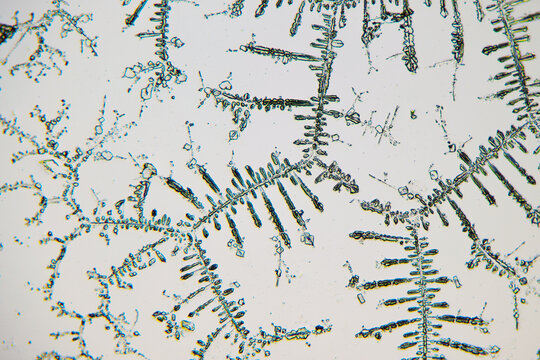 baby tear crystal under Microscopic