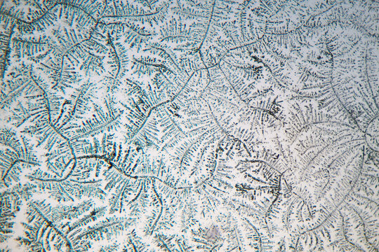 baby tear crystal under Microscopic