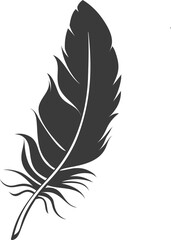 Obraz premium Feathers vector icon . Black bird feather silhouette collection. Plume symbol of lightness. Quill pen for writing, letter, poetry. Vintage retro writer logo design.Retro writer, literature, 