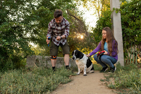 Man combs his black and white dog on a dirt path surrounded by greenery, while his daughter crouches nearby with leash, showing warmth, companionship, and shared family responsibility outdoors