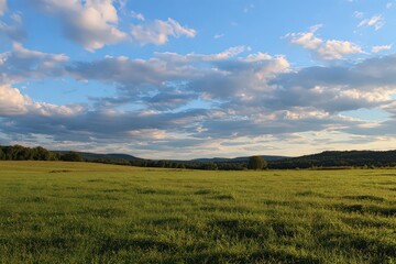 Obraz premium Scenic Green Meadow Under Cloudy Blue Sky in Countryside Landscape Under Soft Sunlight
