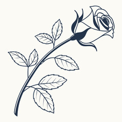 Eternal Beauty: A solitary rose, its delicate petals unfurling towards the heavens.