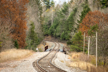 railroad in the forest during autumn