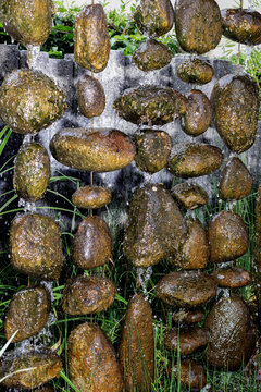 Self-made water fountain with various oval stones
