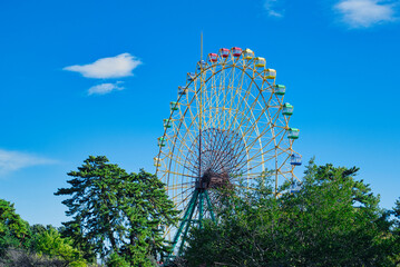 子どもたちに大人気のローカルな遊園地は、カラフルな乗り物がいっぱい