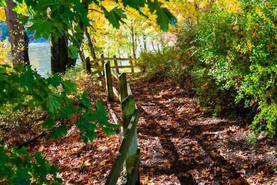 autumn leaves in the forest along a winding path with a rustic wooden fence. 