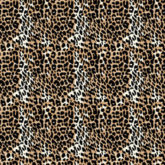 leopard skin texture , leopard skin background