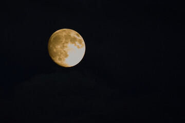 Obraz premium Moon