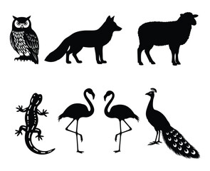 Animal Silhouettes and Illustration – Vector Set of Owl, Fox, Sheep, Lizard, Flamingos, and Peacock