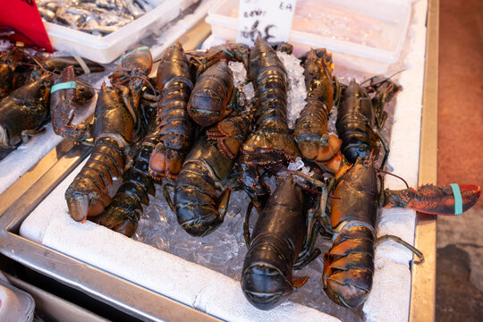 Fresh Lobster On Ice