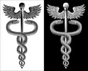 Caduceus Medical Asclepius Rod Doctor Symbol Icon