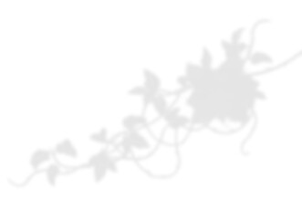 Elegant Vine and Leaf Shadow Overlay