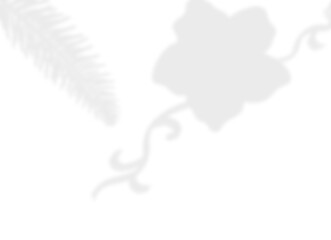 Elegant Vine and Leaf Shadow Overlay