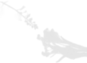 Soft Floral Branch Shadow Overlay
