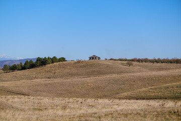 Obraz premium A solitary wooden cabin sits on a gentle hill in a wide open field. A line of pine trees and distant hills frame the scene beneath a bright, calm blue sky.