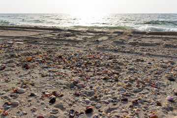 Seashell-covered beach and dark turquoise ocean under a pale gray sky with a small white wave breaking on the shoreline
