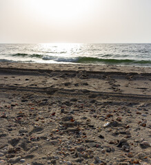 Seashell-covered beach and dark turquoise ocean under a pale gray sky with a small white wave breaking on the shoreline