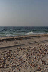Seashell-covered beach and dark turquoise ocean under a pale gray sky with a small white wave breaking on the shoreline