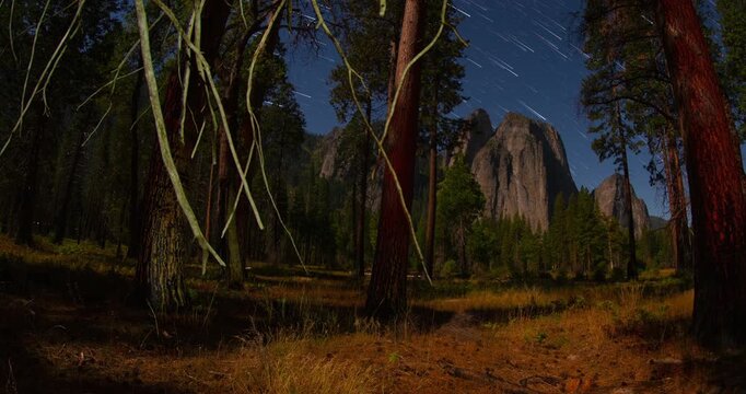 A mesmerizing timelapse of star trails streaking across a moonlit night sky above Yosemite Valley. Towering pine trees frame massive granite cliffs under clear, tranquil light.