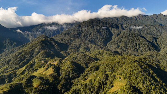 Aerial view of rice terraces carved into a lush green hillside. Captures the beauty of agricultural landscapes and traditional farming.