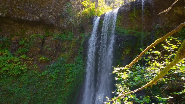 A beautiful and dramatic view of Elowah Falls (historically Ecola Falls), a magnificent single-plunge waterfall cascading nearly 290 feet over a sheer basalt cliff