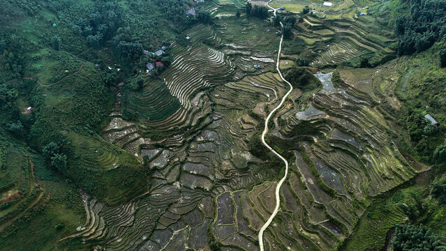 Aerial view of rice terraces carved into a lush green hillside. Captures the beauty of agricultural landscapes and traditional farming.