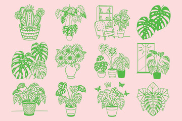 Collection of monstera plants in various decorative pots ideal for home decor and botanical designs