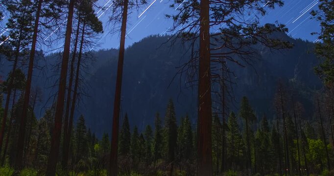 Star Trails Above Yosemite Forest &ndash; Moonlit Night Sky Timelapse Over Towering Pines