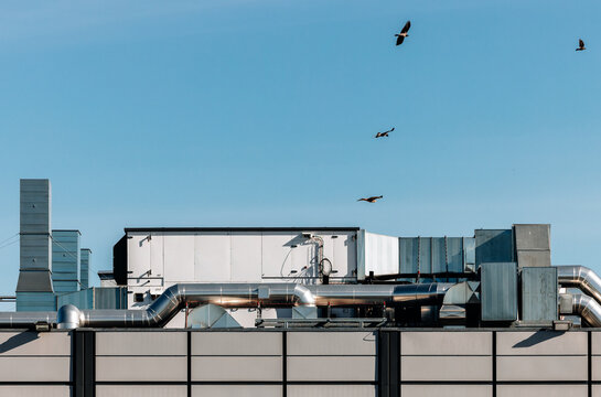 Industrial Rooftop with Birds in Flight