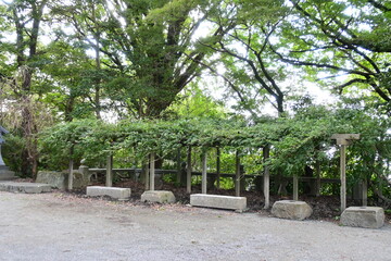 福岡県の高良大社境内の風景