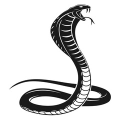 Fierce cobra snake silhouette ready to strike with open mouth and forked tongue isolated on white background